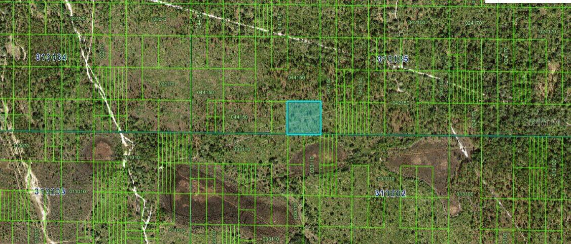 N/A, FL