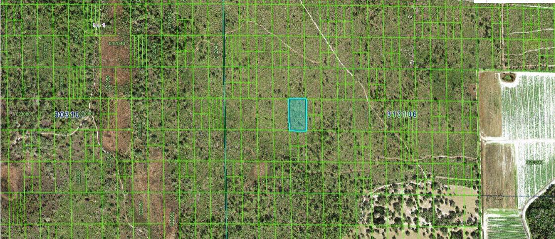 N/A, FL