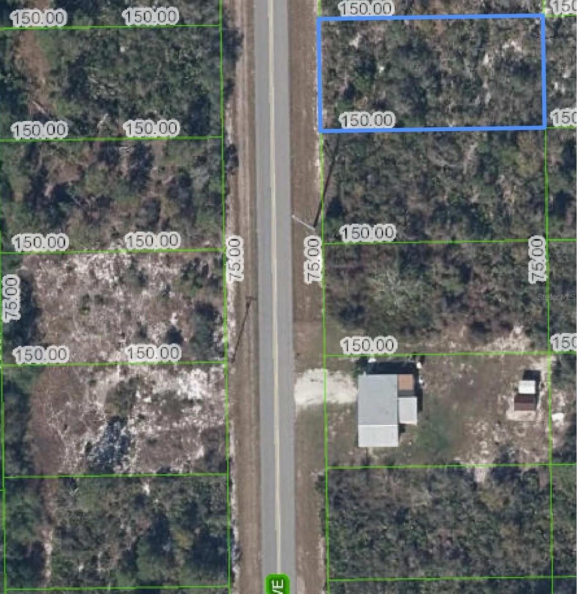 411 Hallmark Avenue, FL