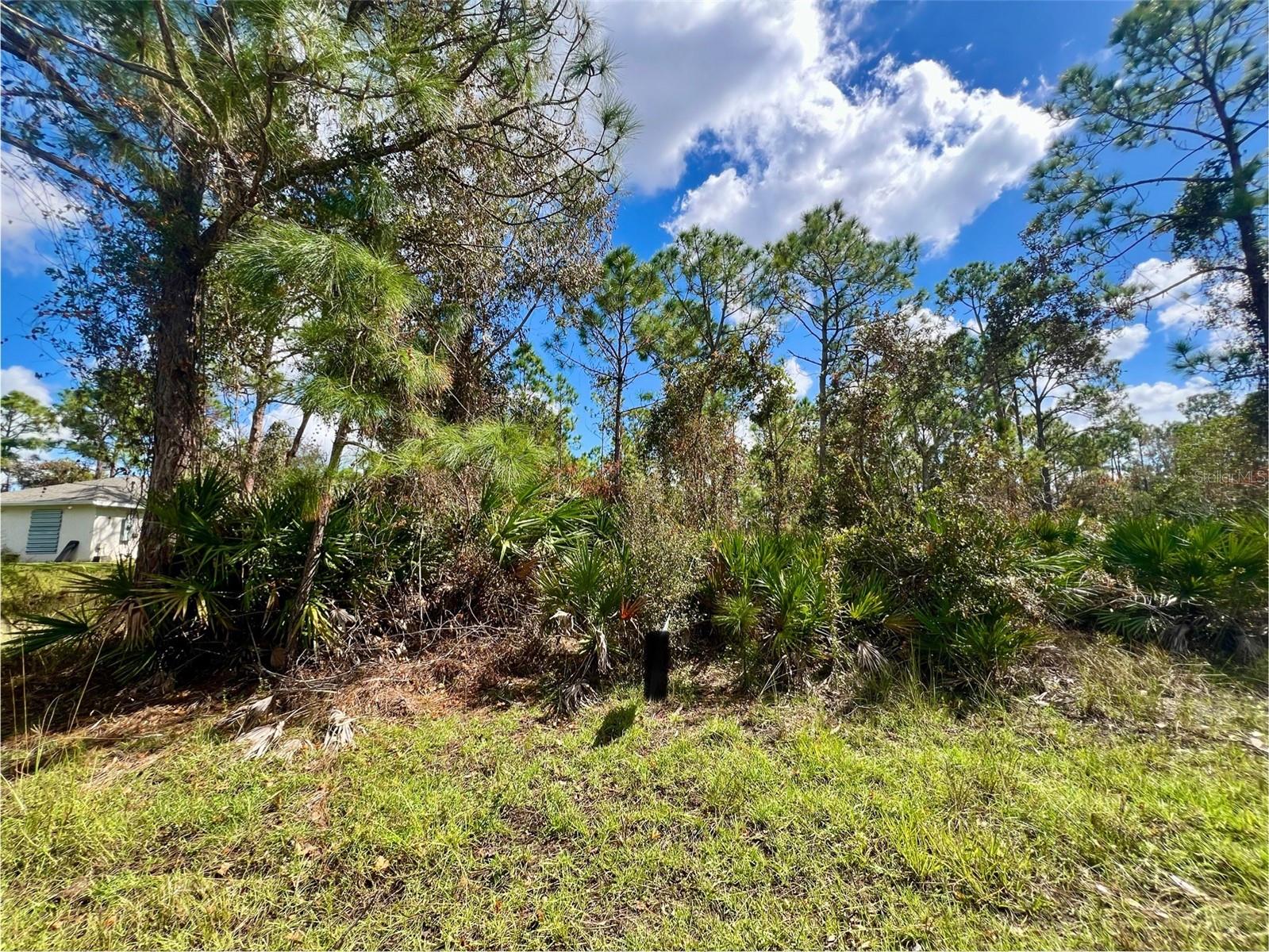 12334 Hindle Avenue, FL