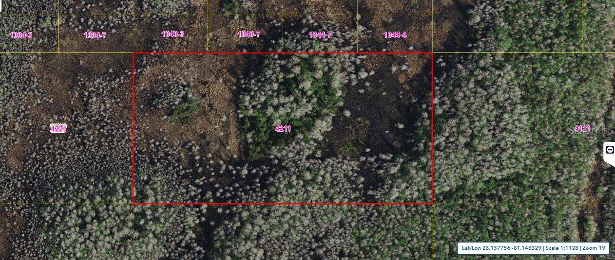 Holopaw Groves Road, FL