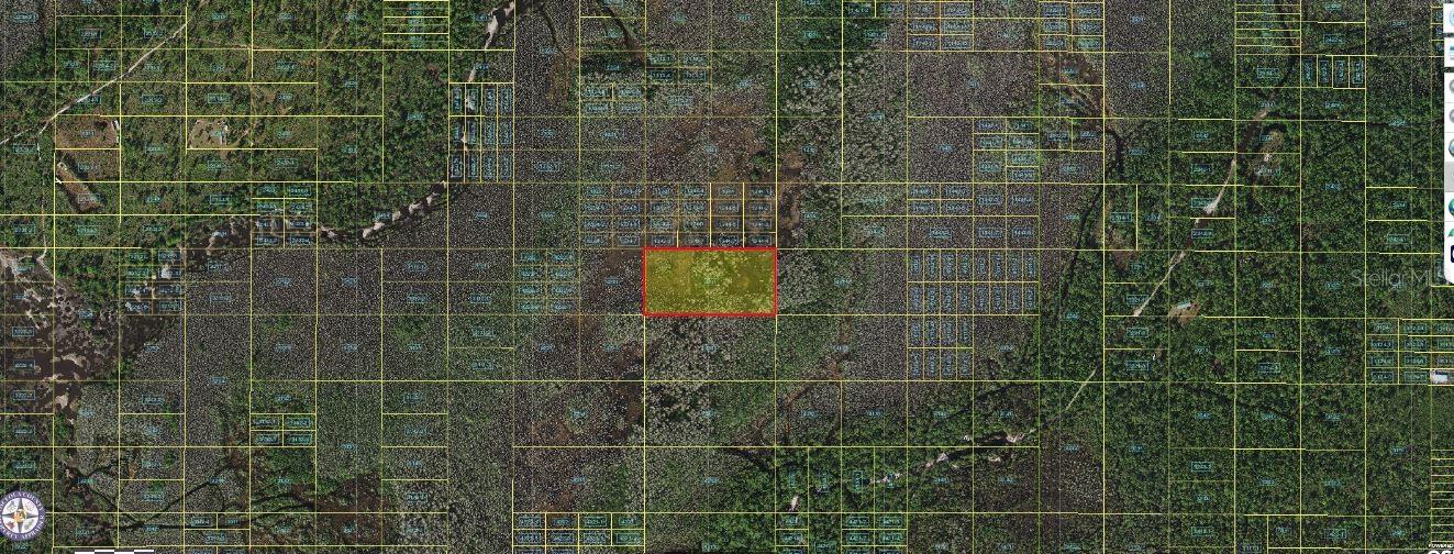 Holopaw Groves Road, FL