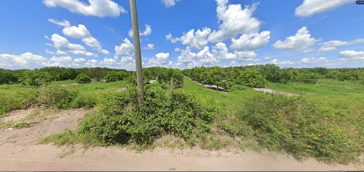 Holopaw Groves Road, FL