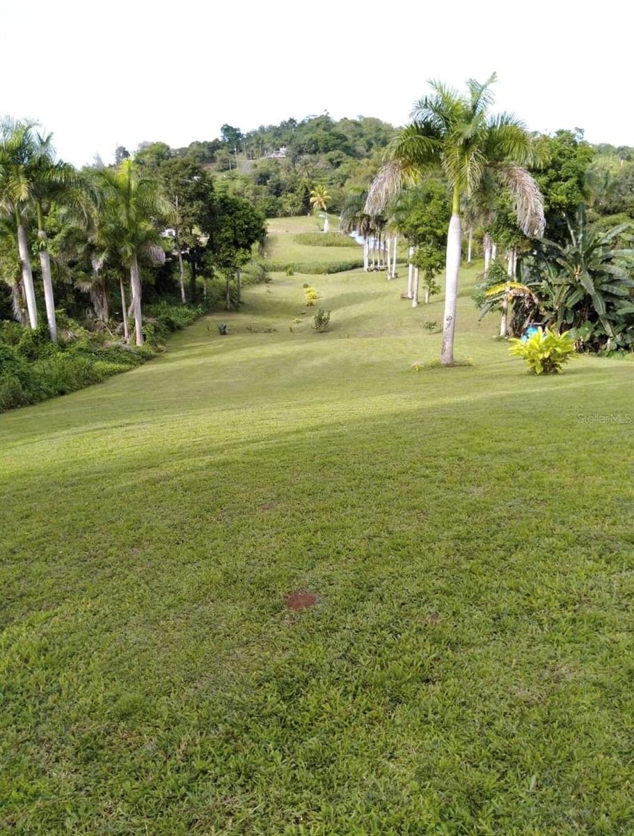 Pr-992 Km 5.7 Bello Sitio Mameyes, Lot 9, PR