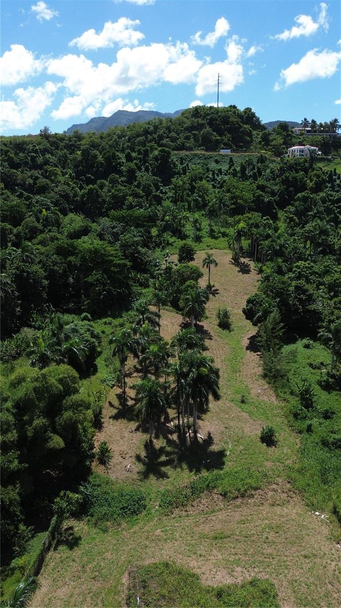 Pr-992 Km 5.7 Bello Sitio Mameyes, Lot 9, PR