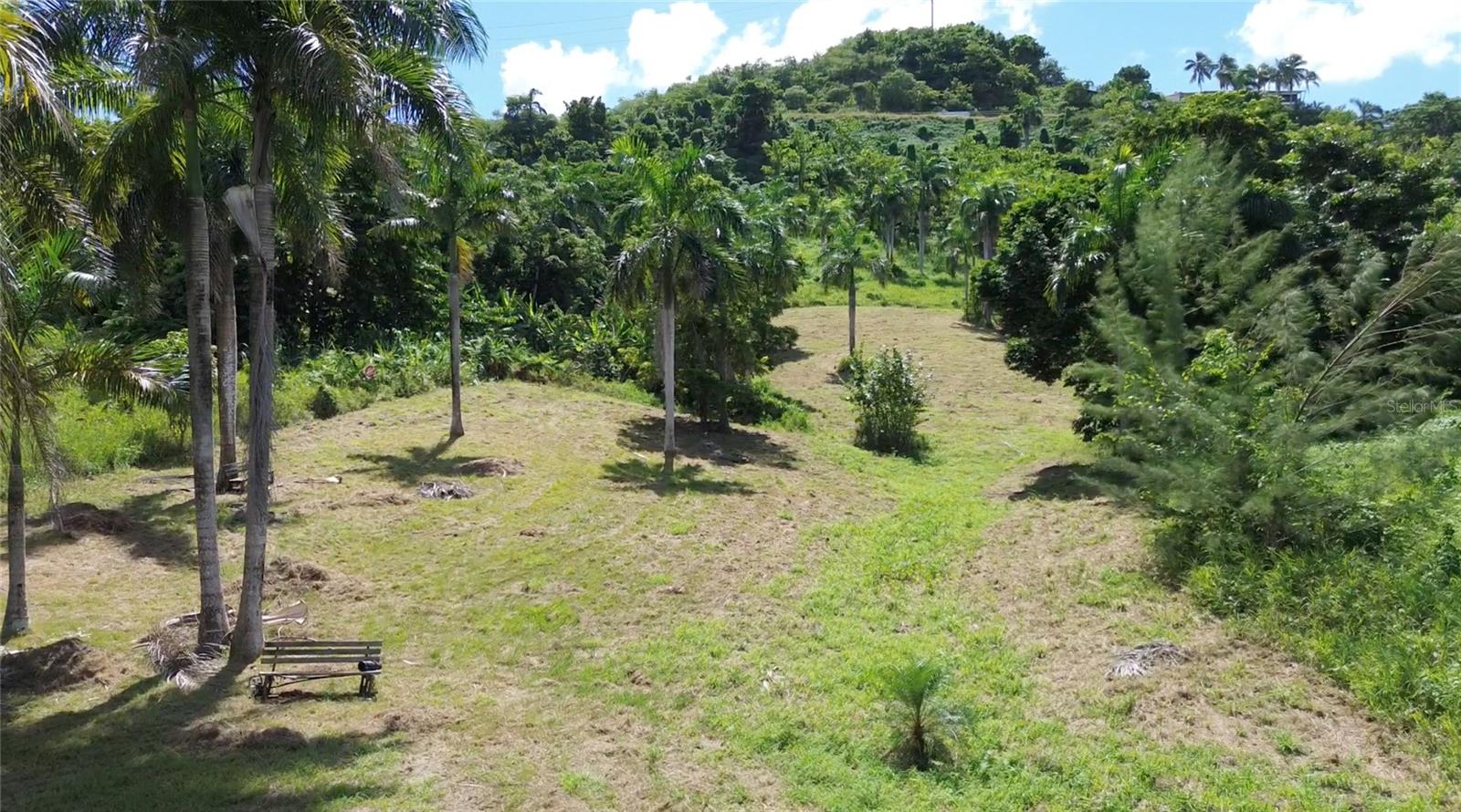 Pr-992 Km 5.7 Bello Sitio Mameyes, Lot 9, PR