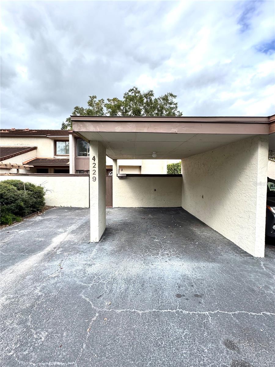 4229 Lake Orlando Parkway, FL