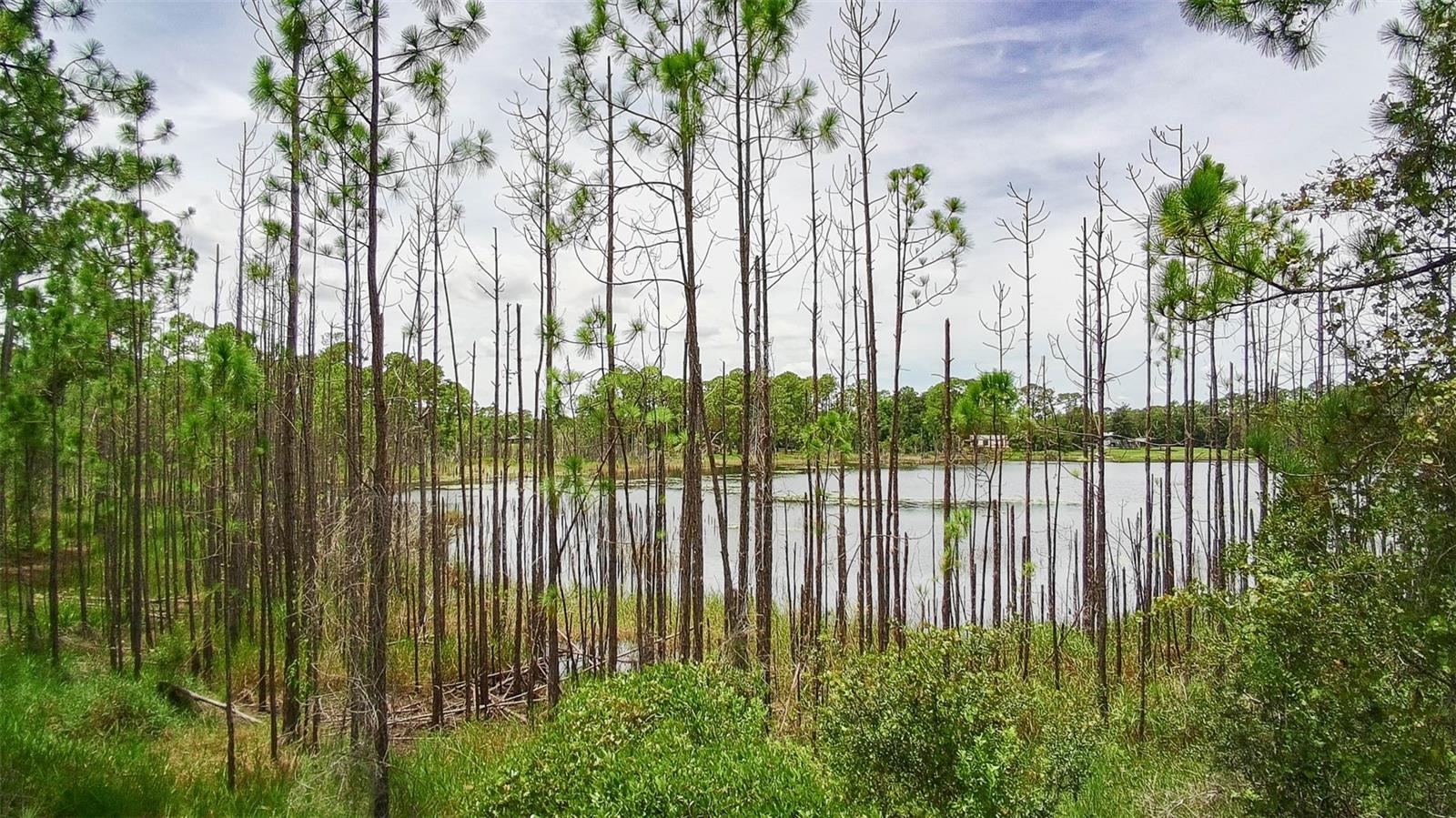 DELTONA, FL