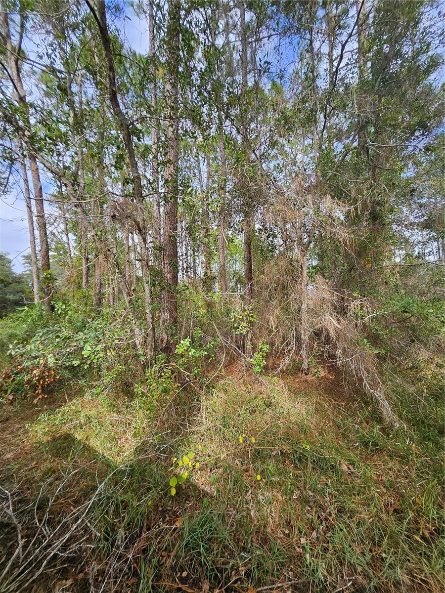 DELTONA, FL