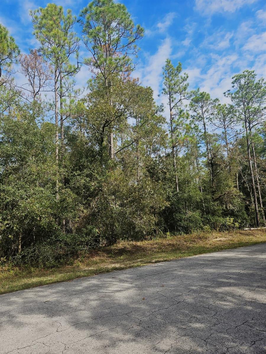 Southwest 206th Court Rd, FL
