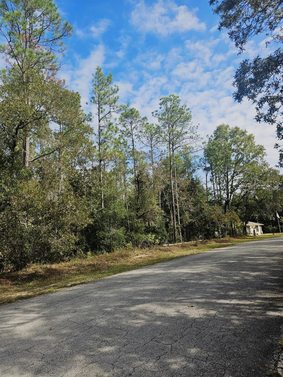 Southwest 206th Court Rd, FL