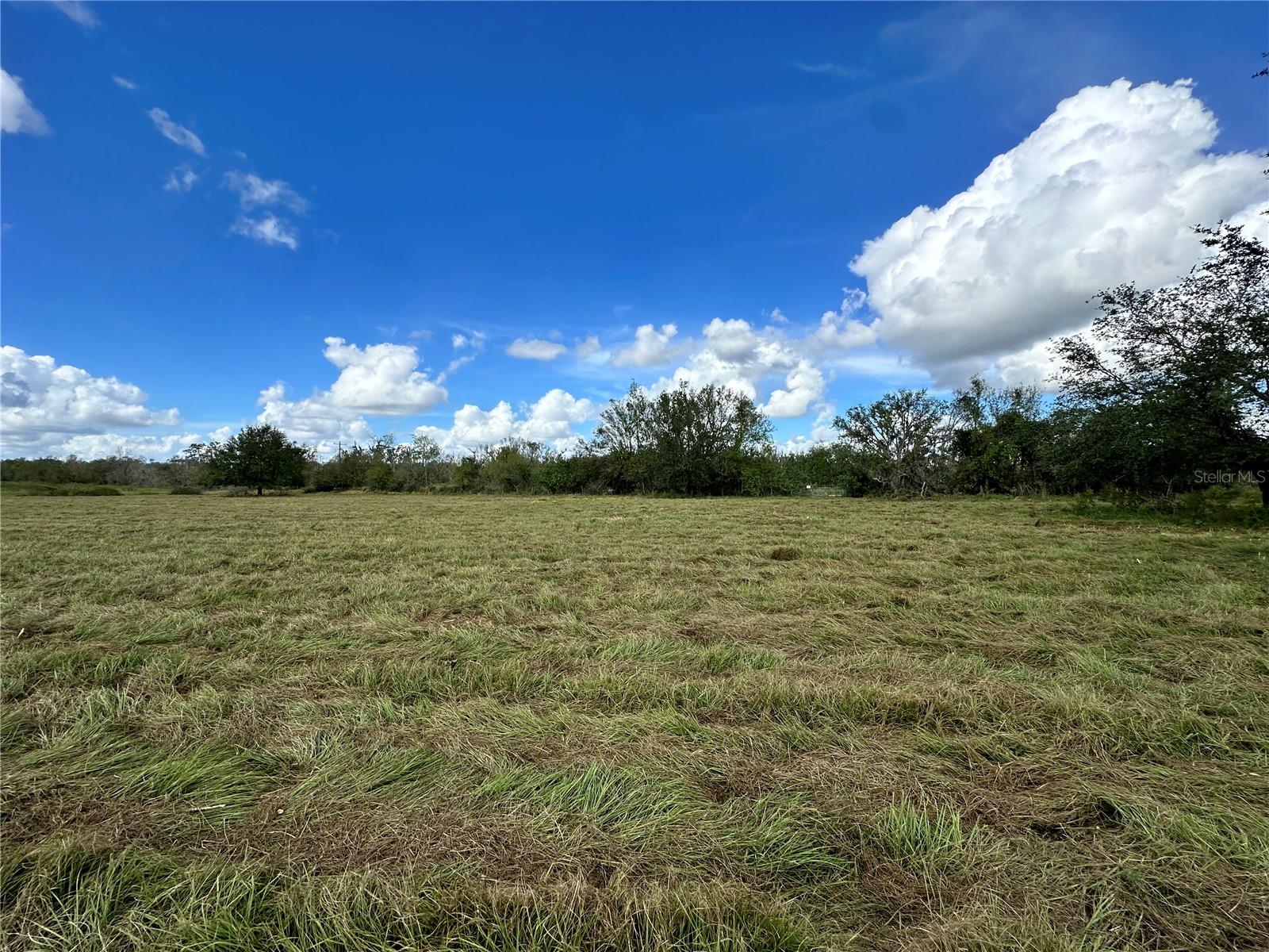 Wauchula Road, FL