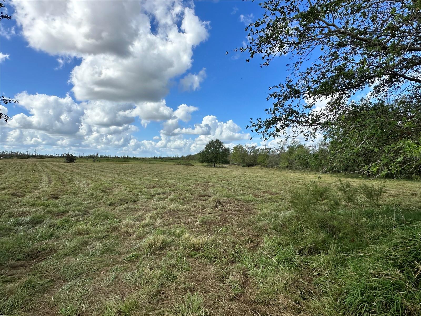 Wauchula Road, FL