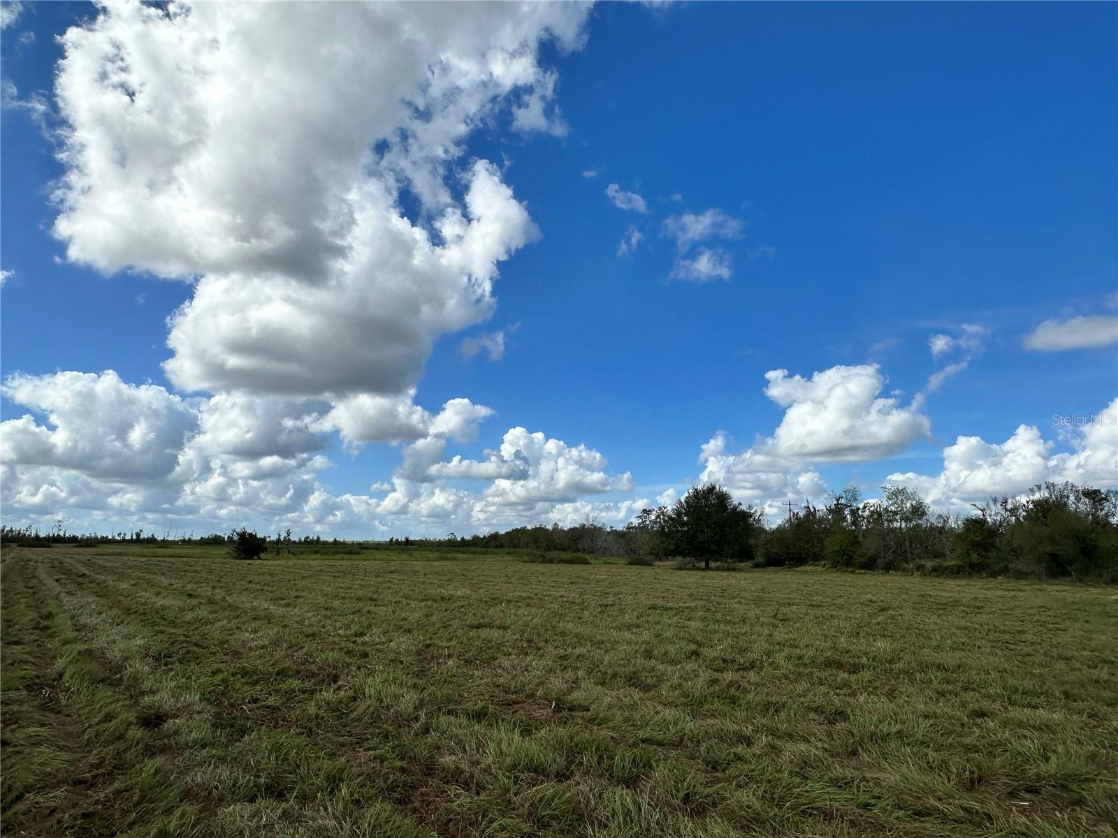 Wauchula Road, FL