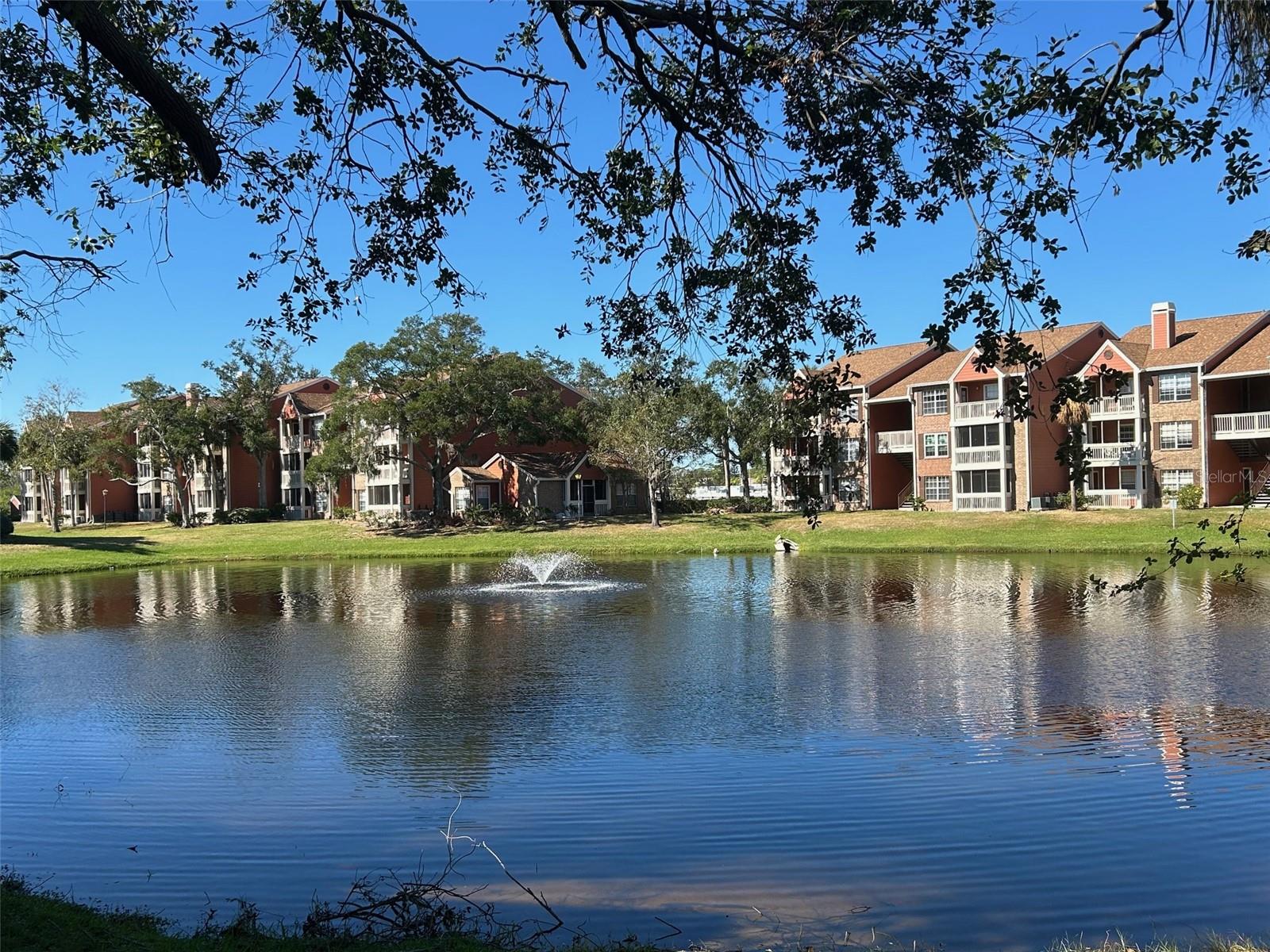 10200 Gandy Boulevard, FL