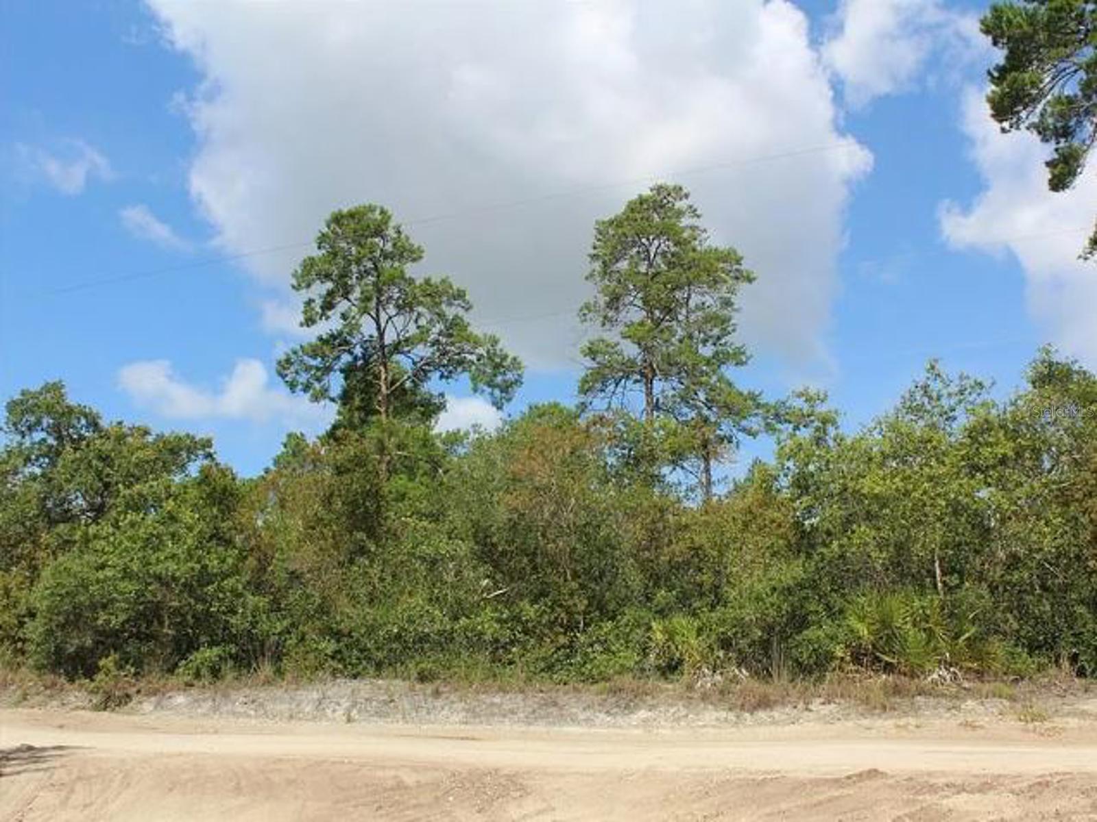 2635 Leonard Drive, FL