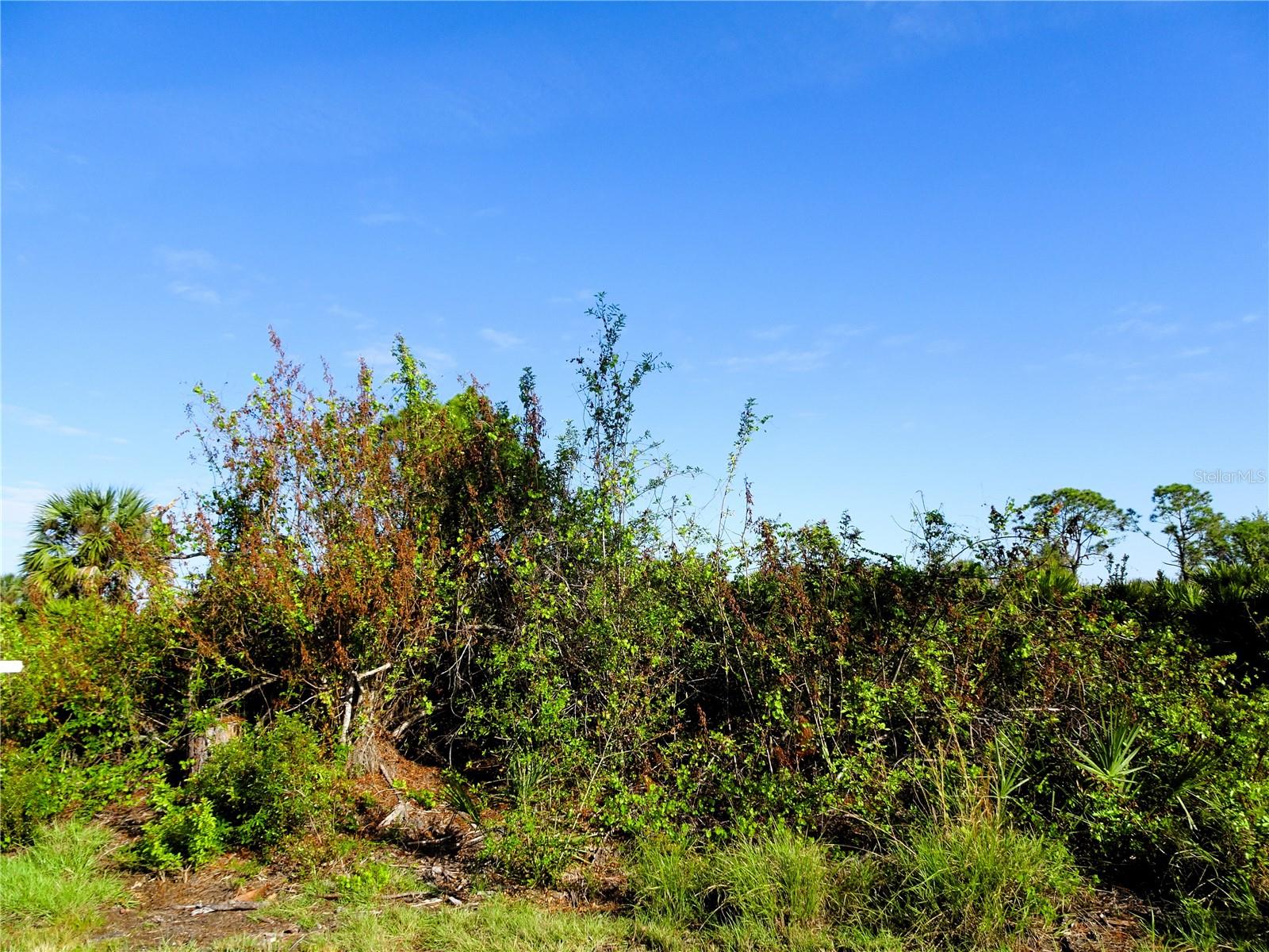 12242 Wagner Lane, FL