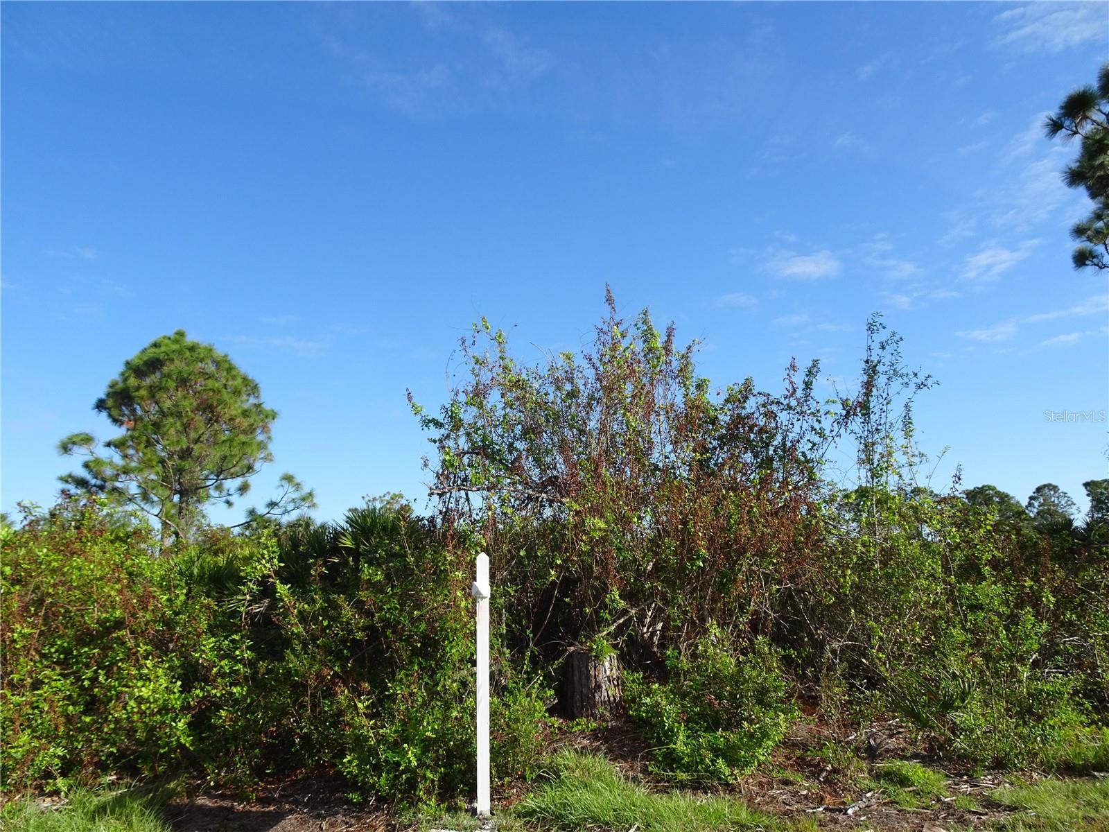 12242 Wagner Lane, FL
