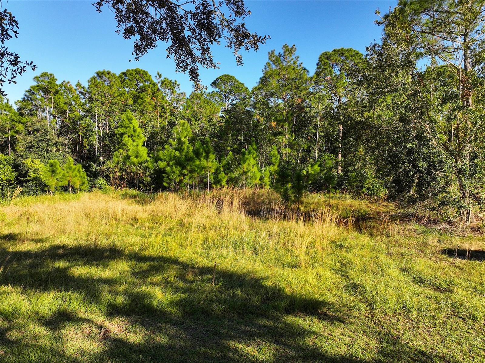 7161 Oak Glen Trl, FL