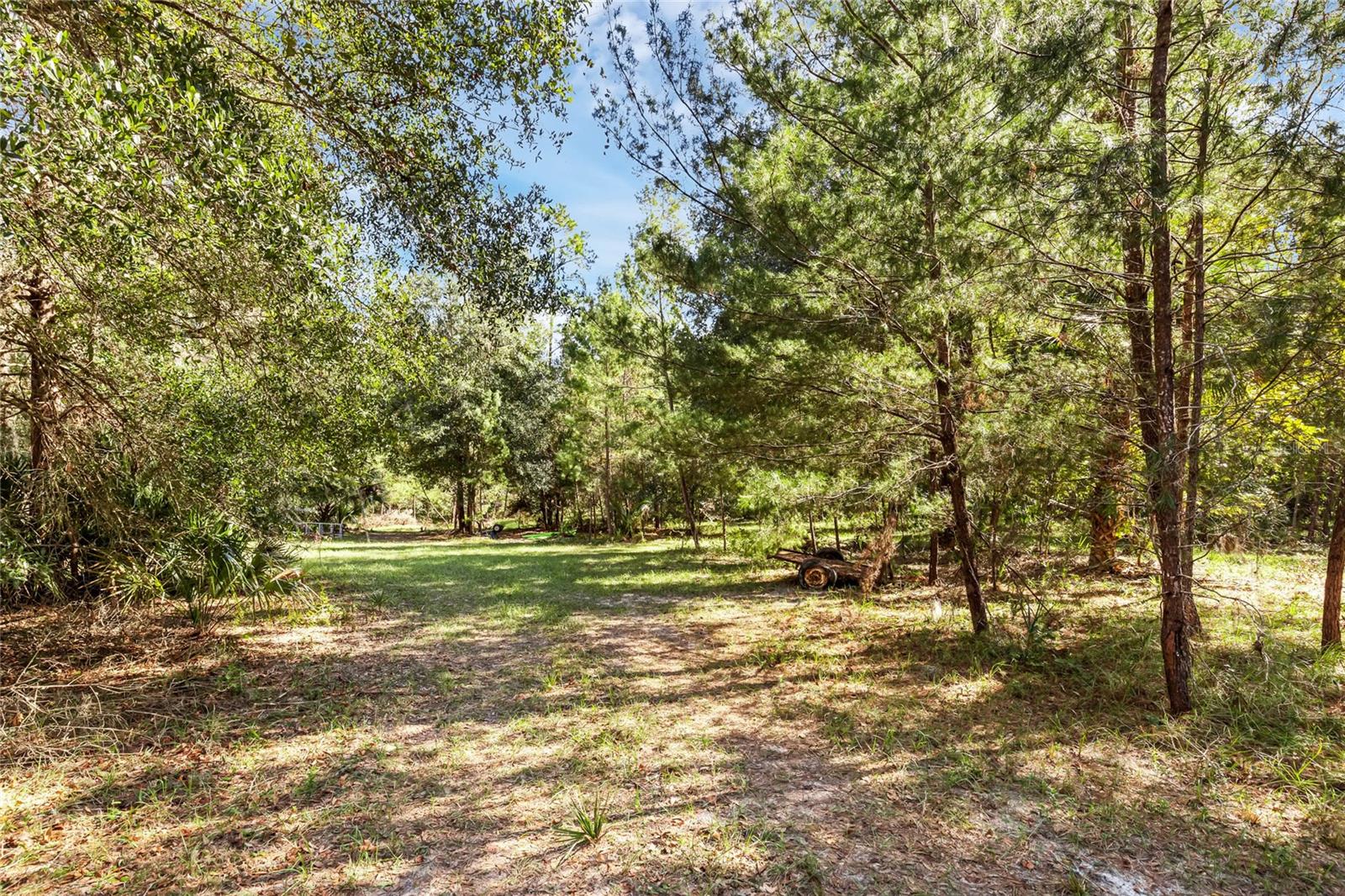 Bronson Road, FL