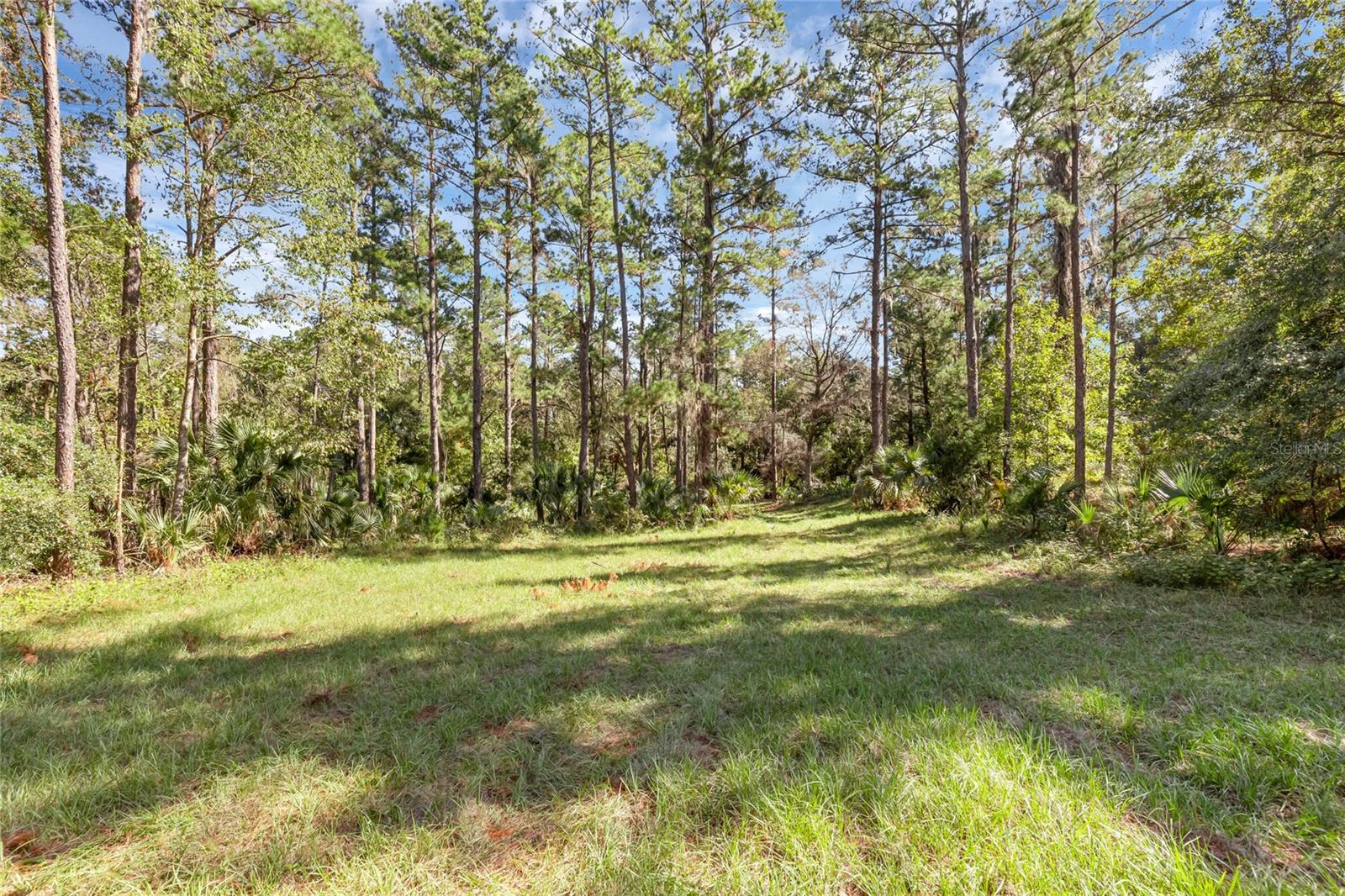 Bronson Road, FL