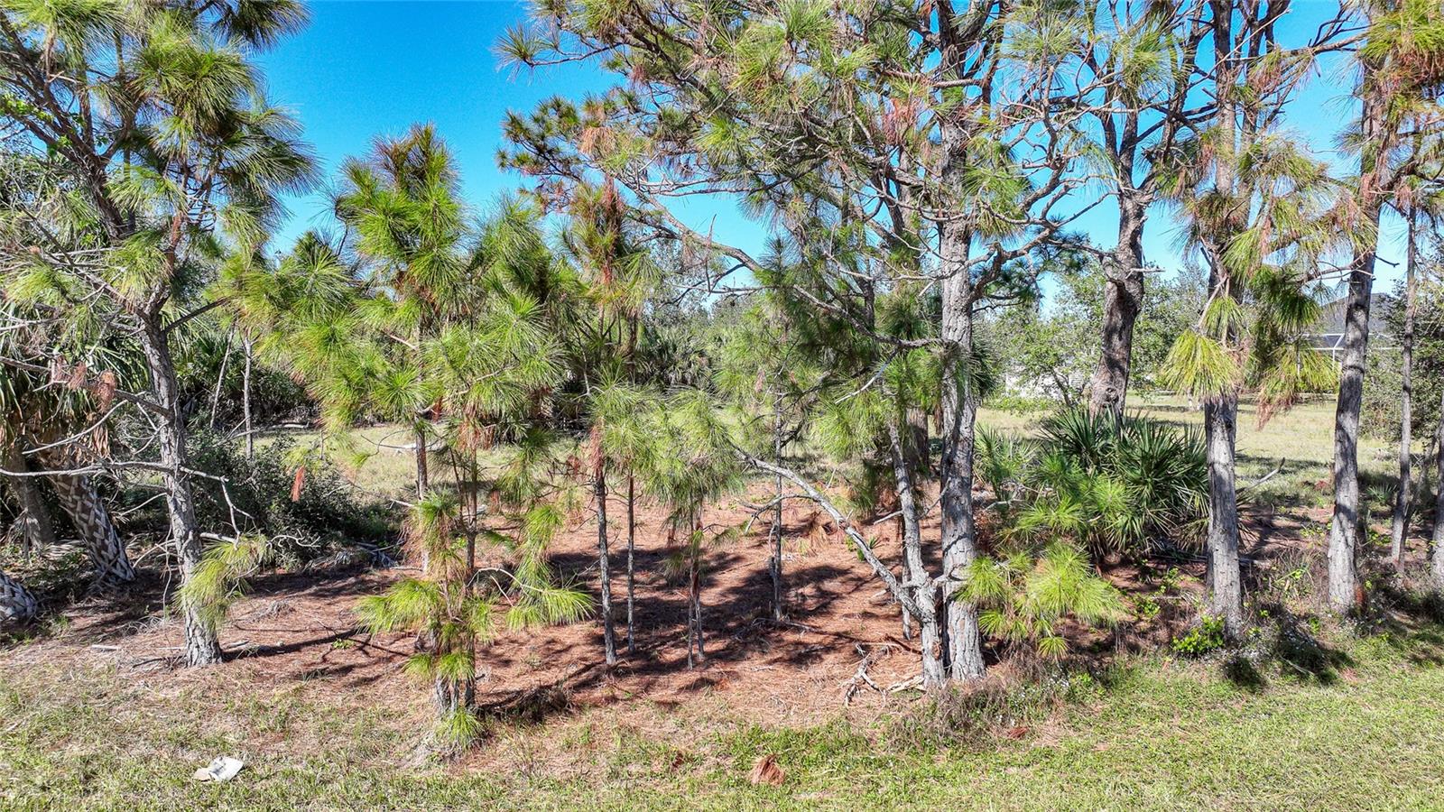 9531 & 9551 Horace Circle, FL