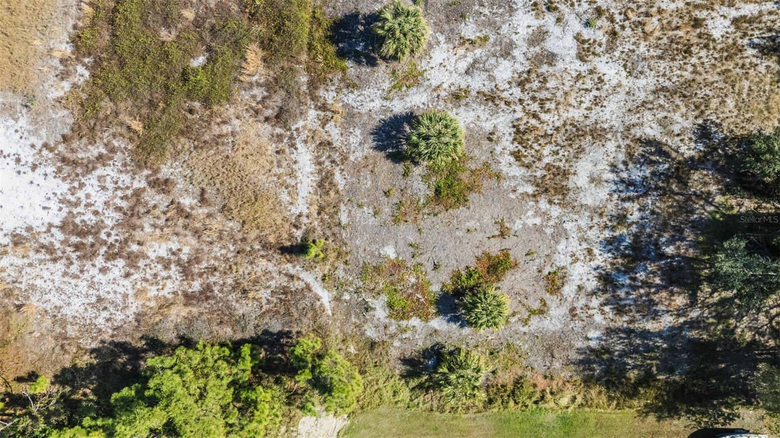 2322 Caliope Drive, FL