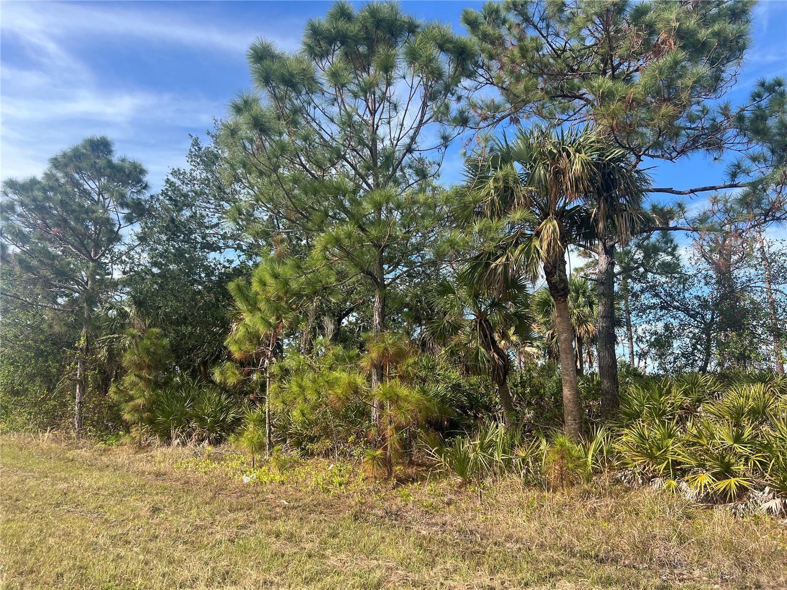 12222 Gulfstream Boulevard, FL