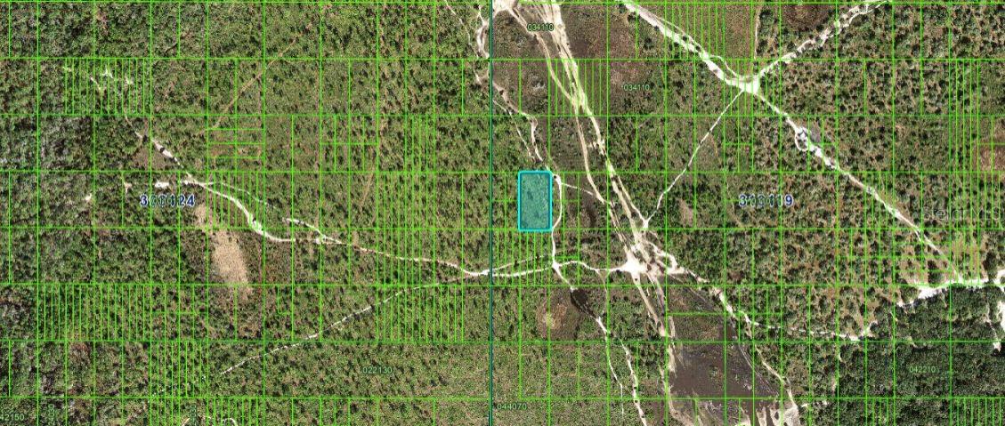 N/A, FL