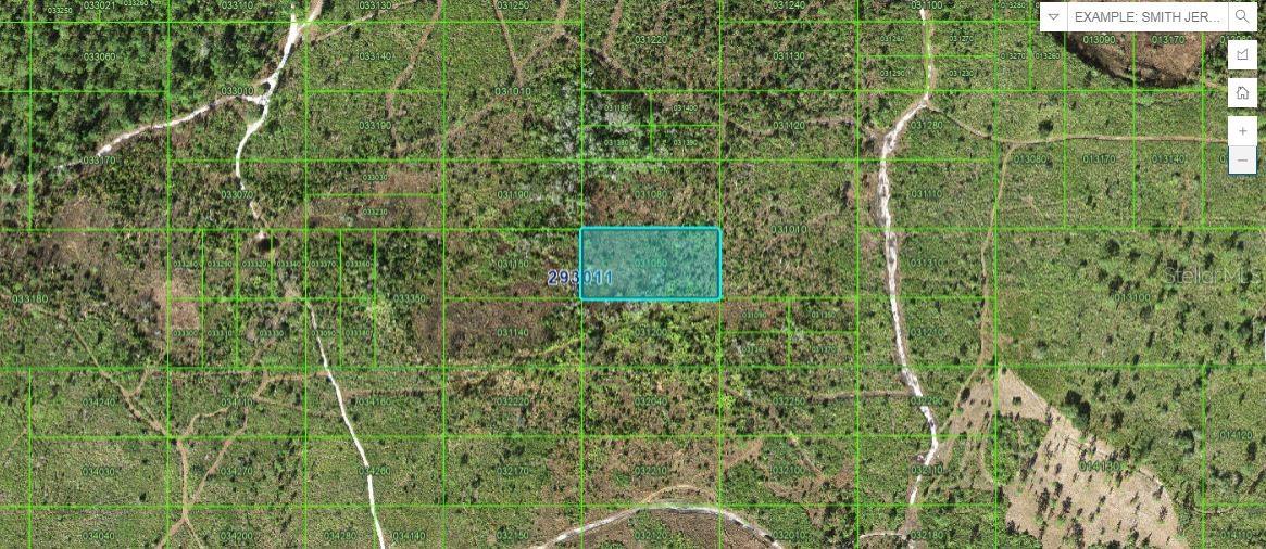 Tiger Lake Rd, FL