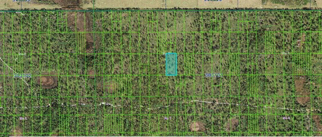 Shady Oaks Dr, FL