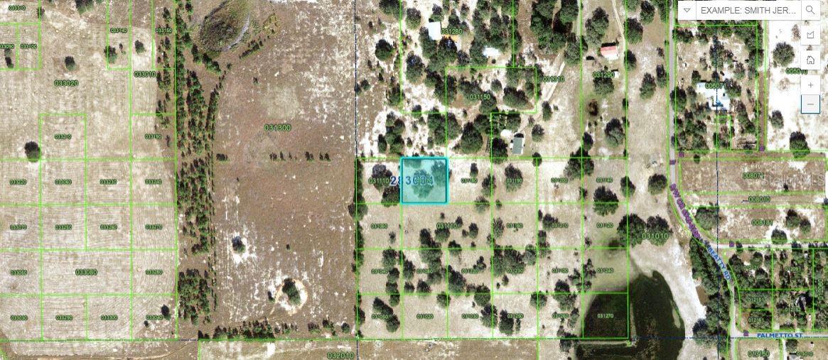 Libby Road, FL