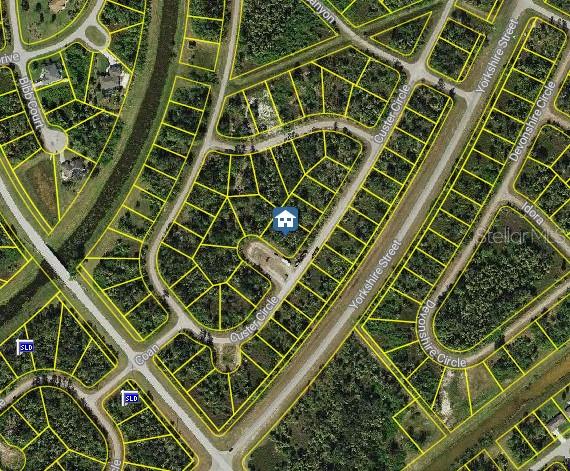 Custer Circle, FL