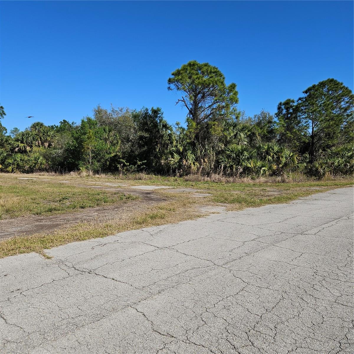 Custer Circle, FL