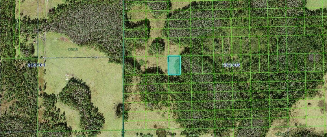 Judy Rd, FL