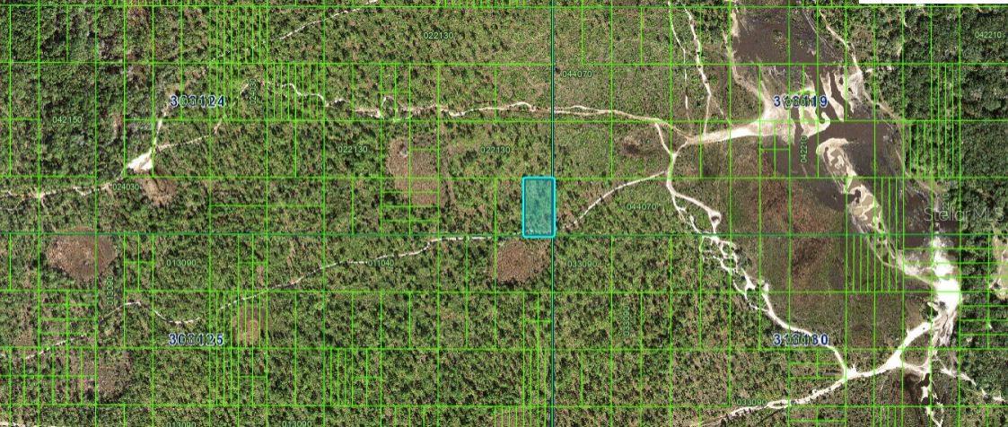 N/A, FL