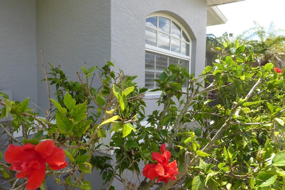 328 Baytree Drive, FL