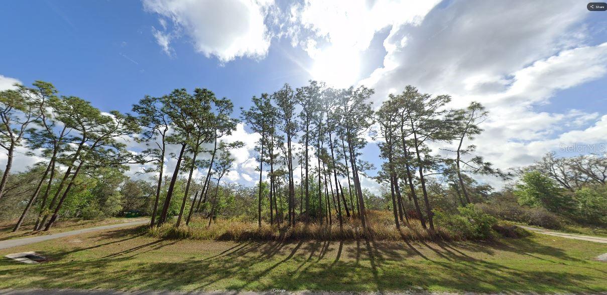 Commonwealth Avenue, FL