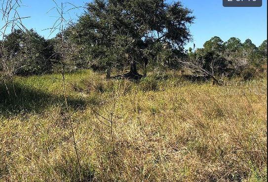 Hwy 60 E, FL