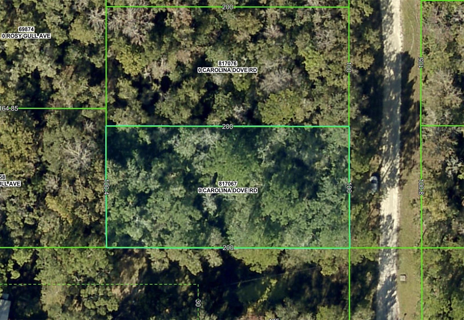Lot 3 Carolina Dove Road, FL