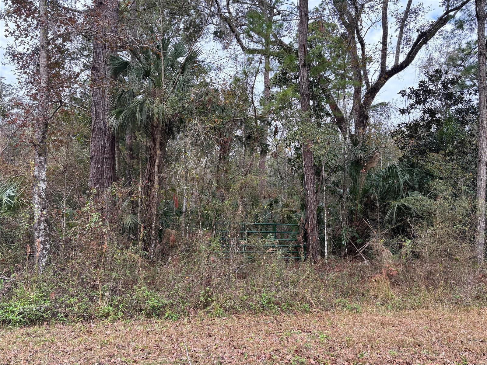 Lot 3 Carolina Dove Road, FL