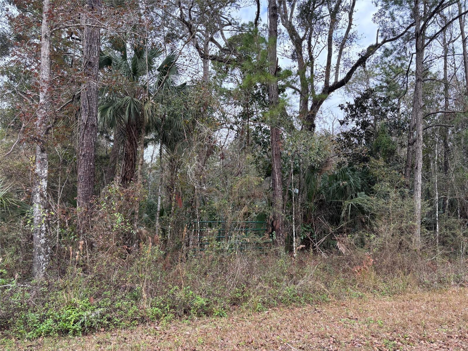 Lot 3 Carolina Dove Road, FL