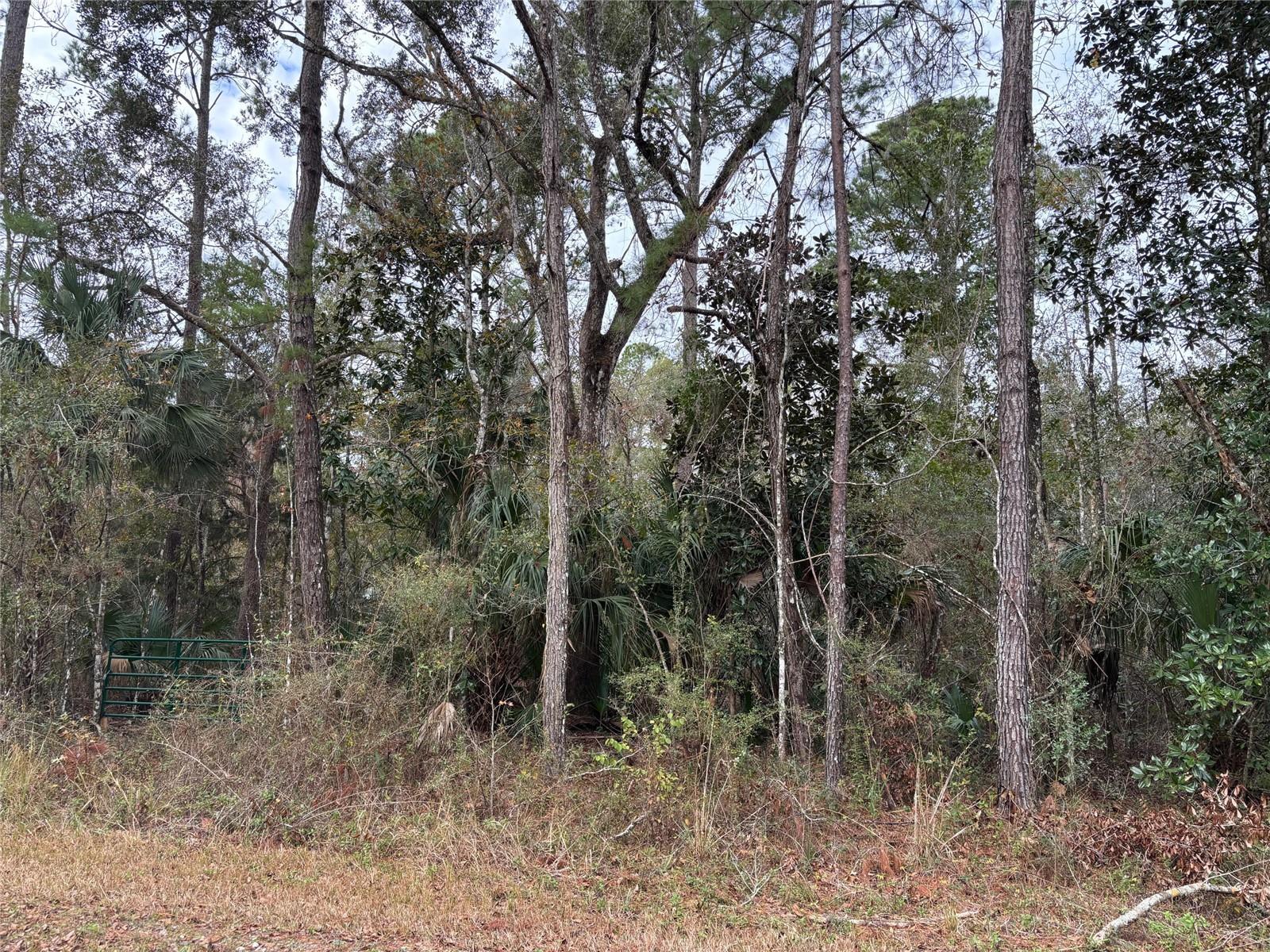 Lot 3 Carolina Dove Road, FL