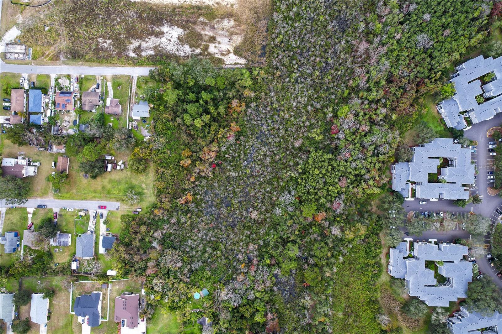 2207 Calloway Drive, FL