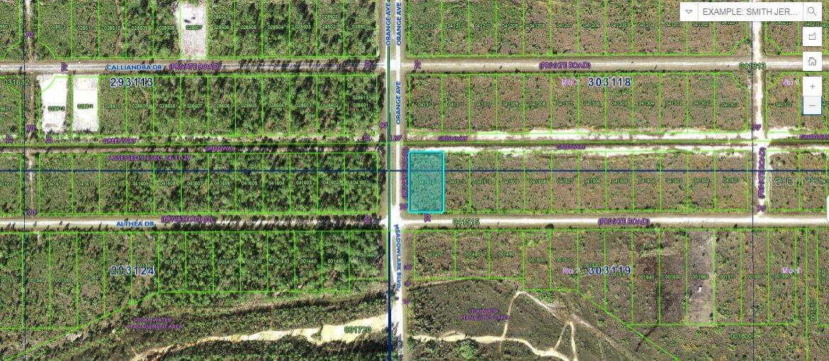 724 Althea Drive, FL