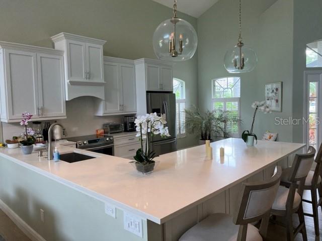 8784 Pebble Creek Lane, FL