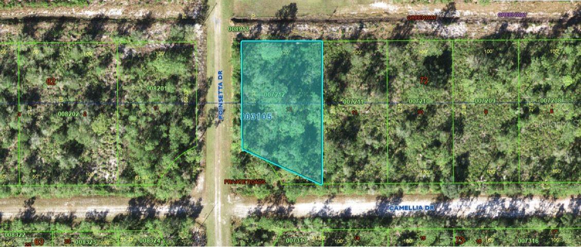 224 Camellia Drive, FL