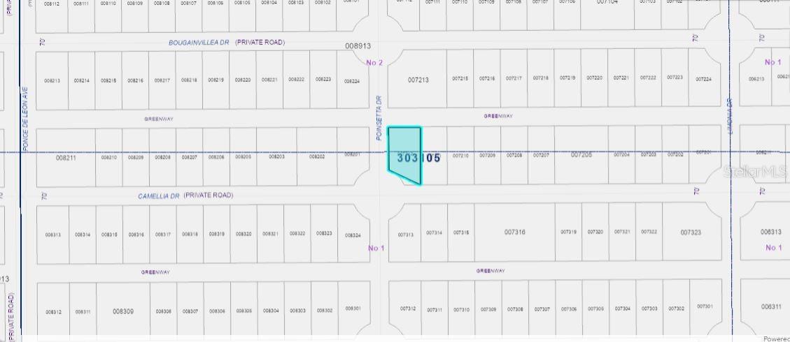 224 Camellia Drive, FL