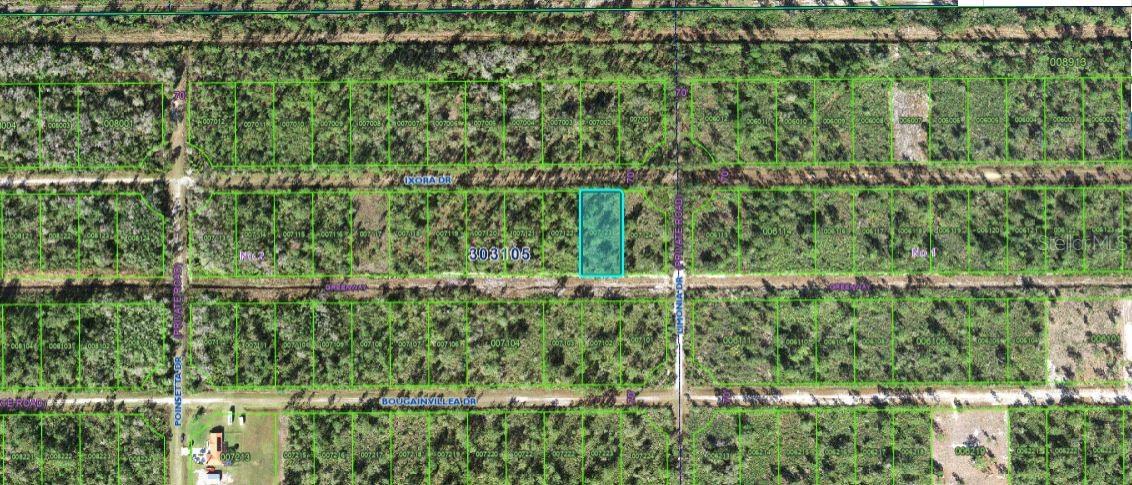203 Ixora Drive, FL
