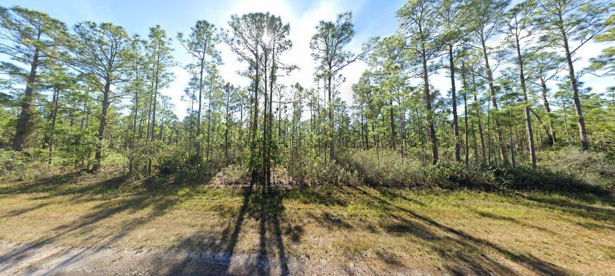 711 Japonica Avenue, FL